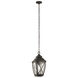 Tangier 1 Light 10 inch Olde Bronze Outdoor Hanging Pendant