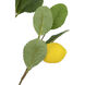 Lemon Spray Green and Yellow Botanical