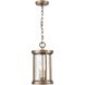 Brison 2 Light 8 inch Vintage Brass Outdoor Pendant