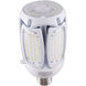 Hi-Pro LED EX39 60.00 watt 2700K Light Bulb