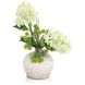 Woodland Hydrangeas Botanical/Floral