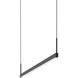Thin-Line LED 36 inch Satin Black Pendant Ceiling Light