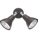 Daley 2 Light 11 inch Black Outdoor Wall Sconce