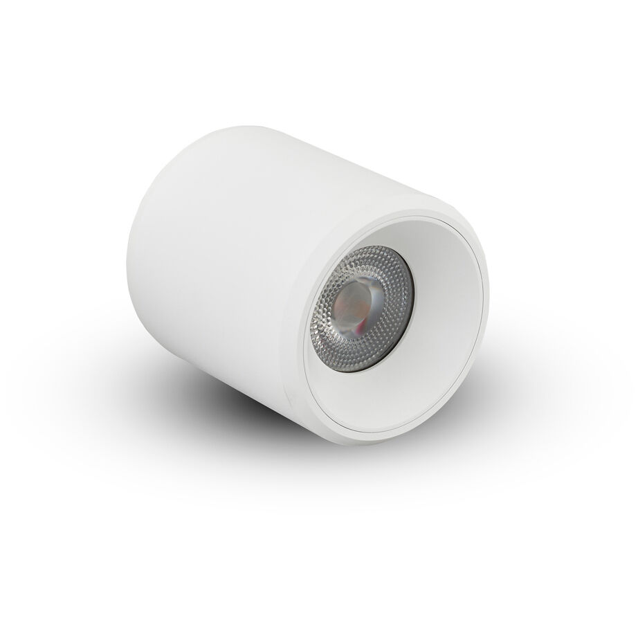 NODE Series White Surface Mounted Downlight Ceiling Light