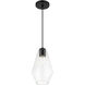 Clarity 1 Light 6.75 inch Coal Mini Pendant Ceiling Light
