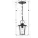 Andover 1 Light 9 inch Matte Black Outdoor Pendant in Clear