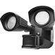 Brentwood LED 4 inch Black Outdoor Security Light
