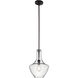 Everly 1 Light 11 inch Olde Bronze Pendant Ceiling Light in Clear Seeded