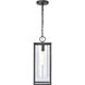 Augusta 1 Light 7 inch Matte Black Outdoor Pendant