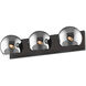 Alora Mood Willow Bath Vanity Light Wall Light in Matte Black, Smoked Glass
