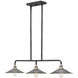 Rigby 3 Light 30 inch Aged Zinc with Antique Nickel Indoor Linear Chandelier Ceiling Light