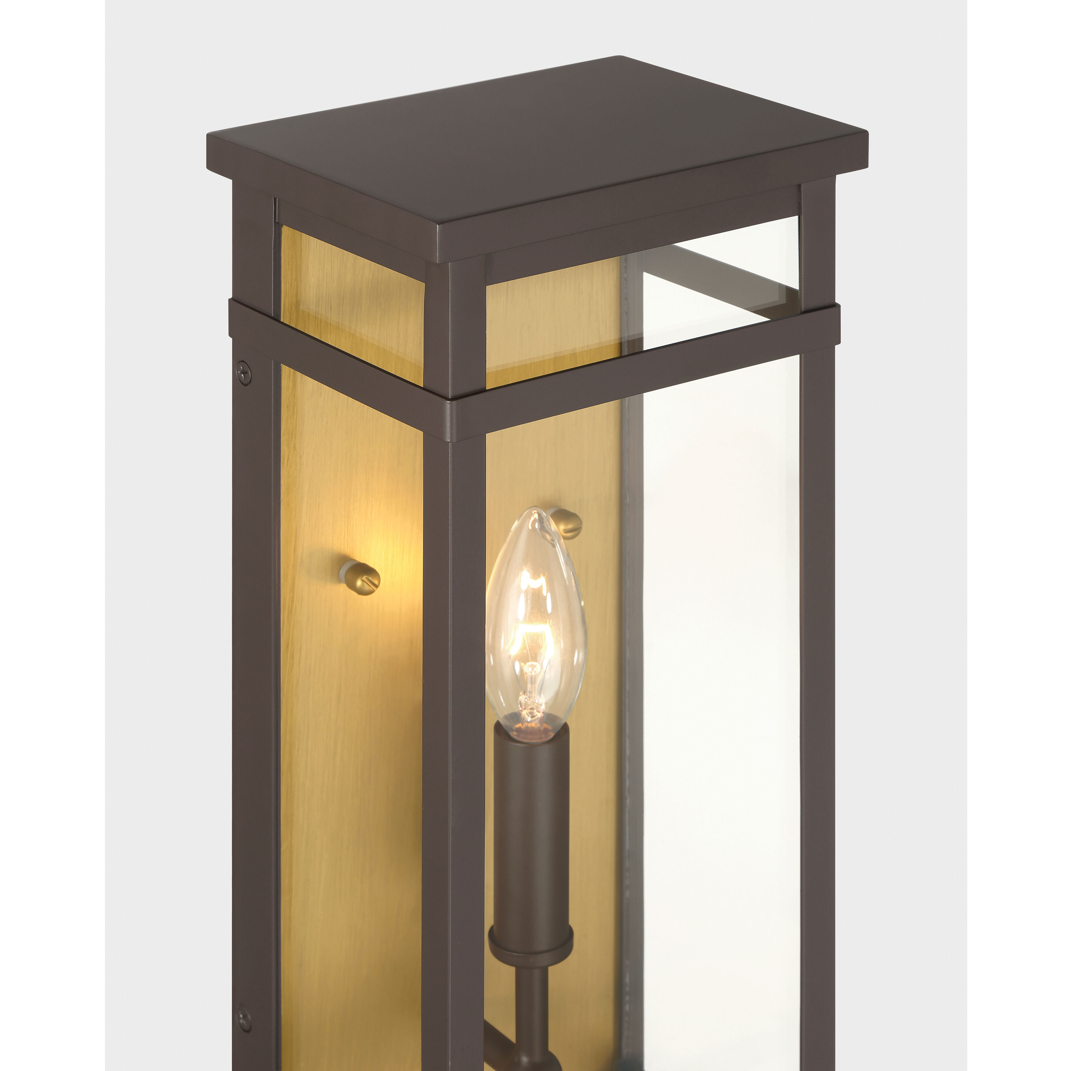 Briarlane 1 Light 14.5 inch Painted Legacy Brass and Dark Bronze Outdoor Wall Sconce