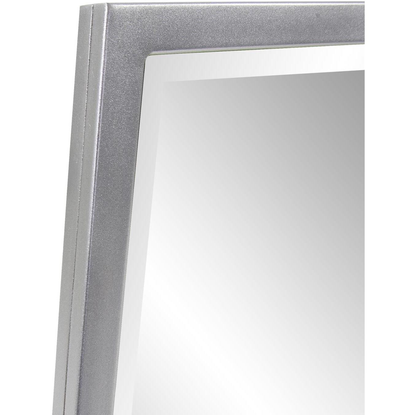 Dekland 46.75 X 27.75 inch Silver Mirror