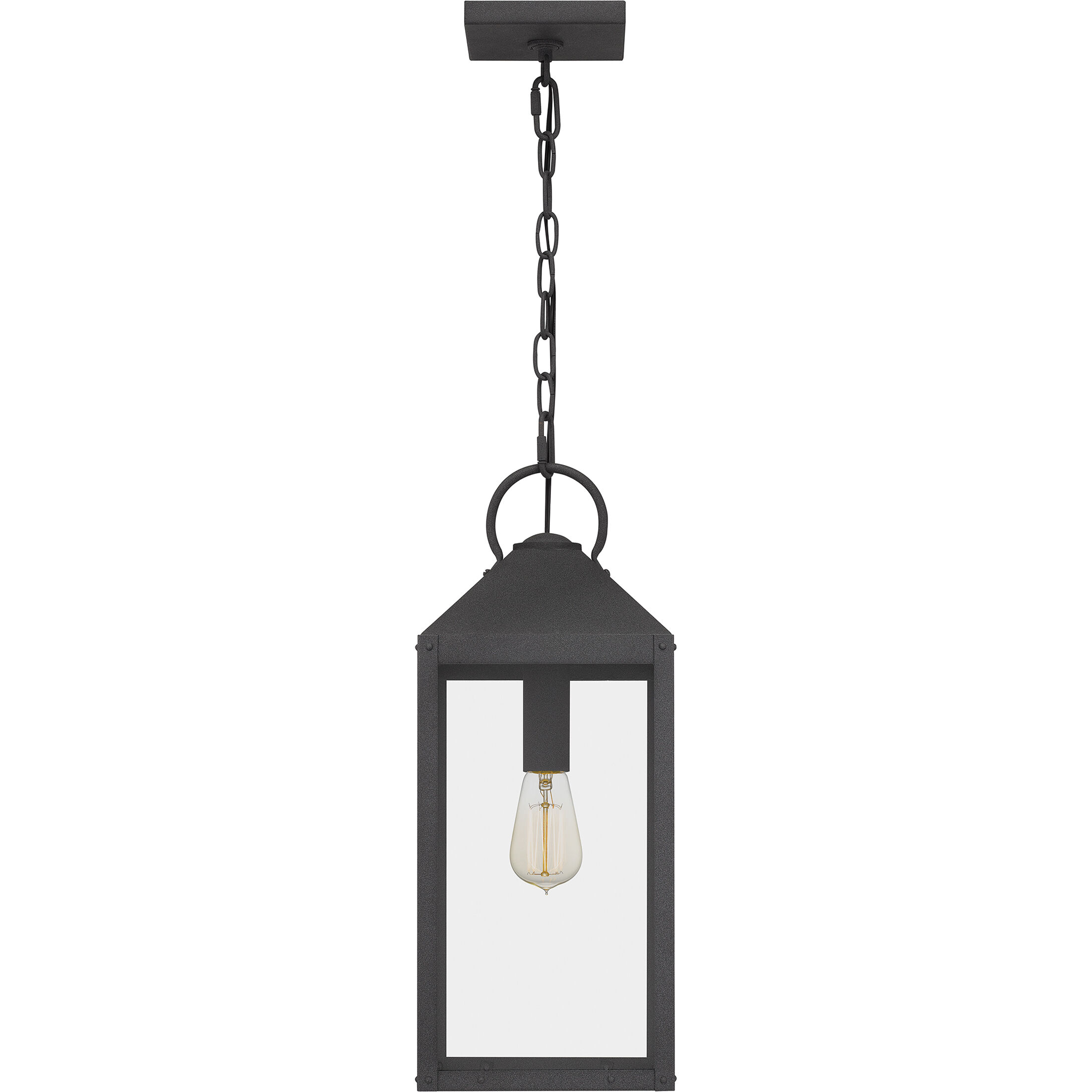 Thorpe 1 Light 8 inch Mottled Black Outdoor Hanging Lantern, Large