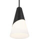 Tori 1 Light 9 inch Matte Black Mini Pendant Ceiling Light