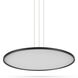 Salm 24 inch Black Pendant/Chandelier Ceiling Light