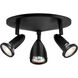 Cobra LED 10 inch Black Flush Mount Ceiling Light