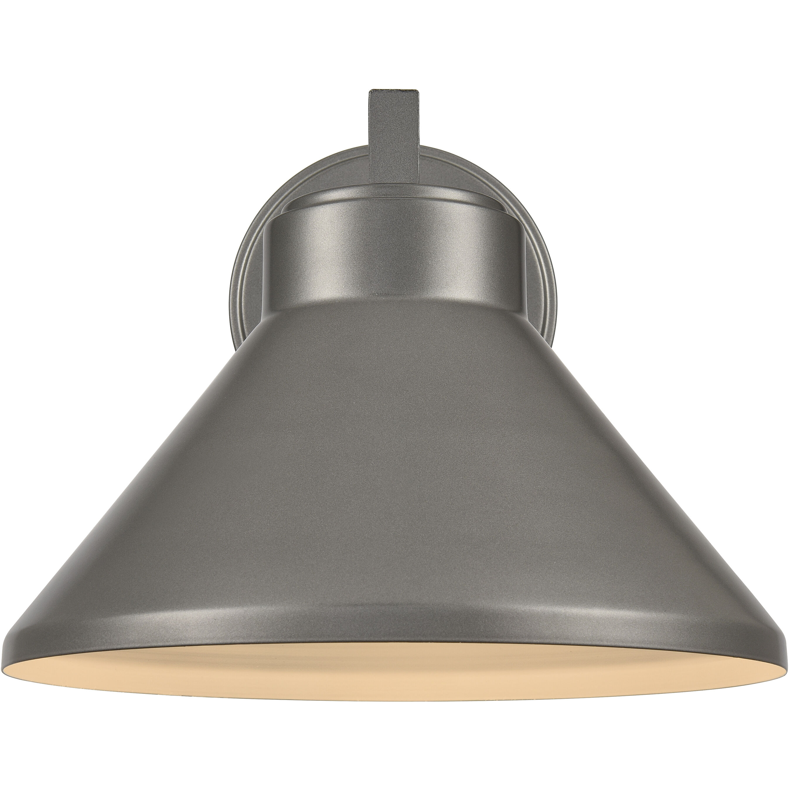 Thane 1 Light 10 inch Hematite Outdoor Wall Sconce