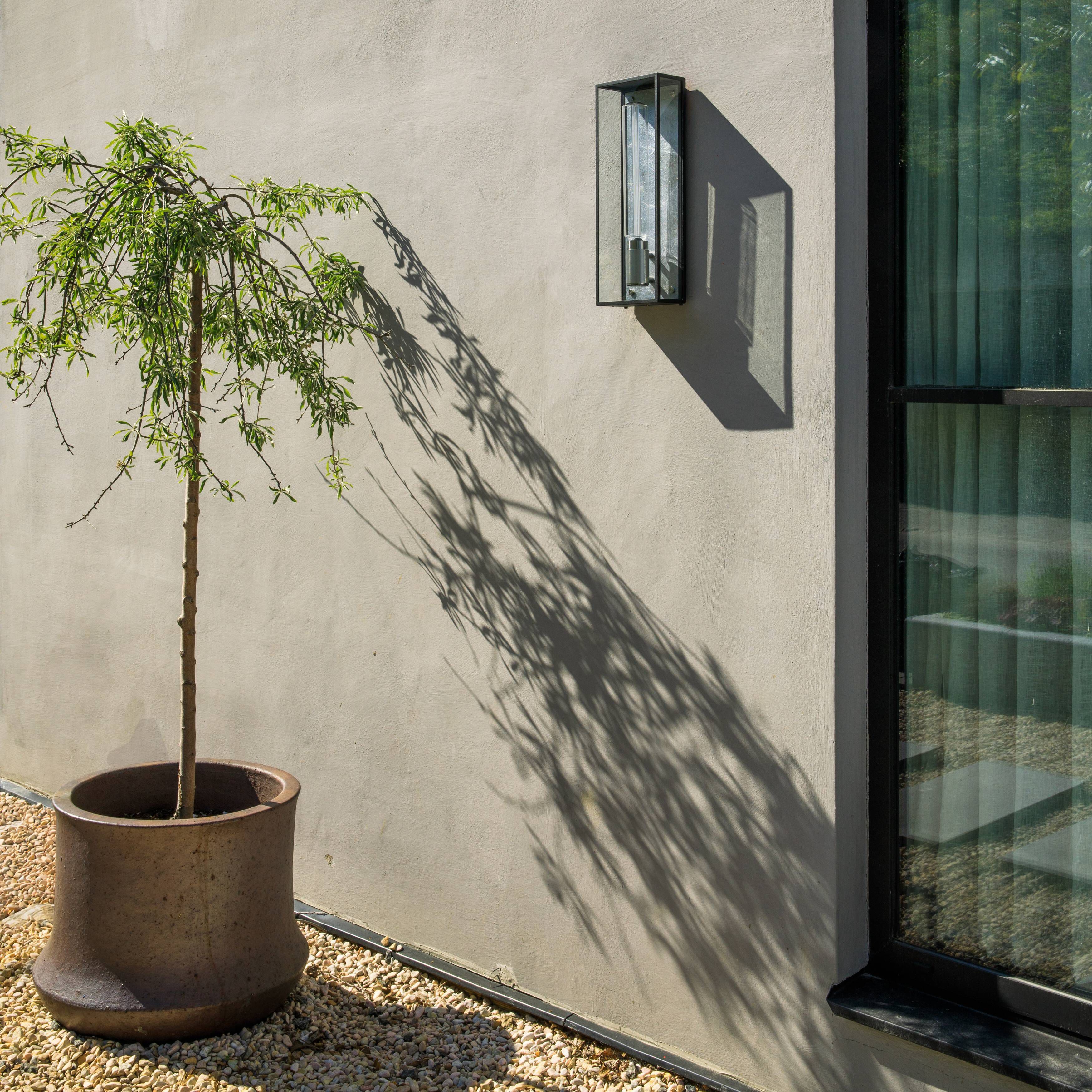 Caged Wet LED 19.21 inch Steel Outdoor Wall Lighting