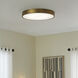 Floe 24 inch Brushed Brass Flush Mount Ceiling Light