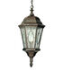 Signature 1 Light 10 inch Black Gold Outdoor Hanging Lantern