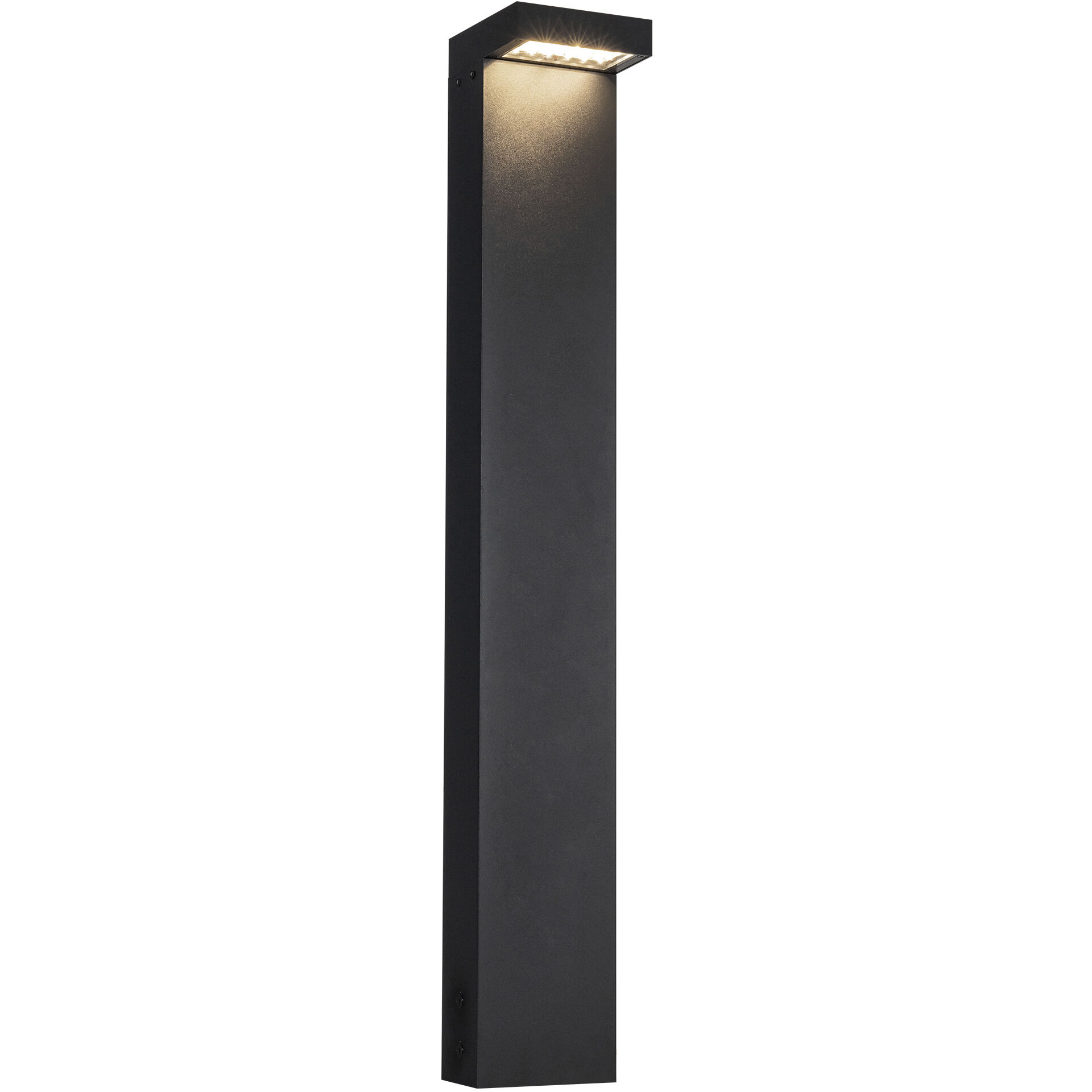 Evans 120-277 24 watt Black Exterior Bollard