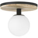 Carnagie LED 12 inch Matte Black Flush Mount Ceiling Light
