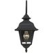 Traditional Outdoor Wall Lantern
