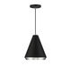 Vintage 1 Light 10 inch Matte Black with Polished Nickel Pendant Ceiling Light