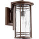 Larson 1 Light 17 inch Oiled Bronze Outdoor Wall Lantern in Clear Hammered Glass, Clear Hammered Glass