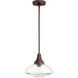 Lenticular 1 Light 13 inch Oiled Bronze Pendant Ceiling Light