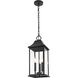 Shepard 3 Light 8 inch Black Outdoor Pendant