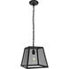 Talon 1 Light 11.8 inch Matte Black Pendant Ceiling Light