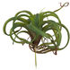Faux Spider Plant Dark Green Floral D&eacute;cor