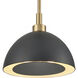 Pelham 2 Light 10 inch Satin Brass with Matte Black Pendant Ceiling Light