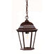 Richmond 1 Light 10 inch Burled Walnut Exterior Hanging Lantern