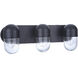 Pill 3 Light 22.5 inch Flat Black Vanity Light Wall Light