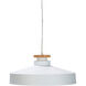 Mcclean 1 Light 16 inch White Pendant Ceiling Light 