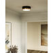 Alora Mood Brisbane 2 Light 12 inch Aged Gold and Matte Black Flush Mount Ceiling Light