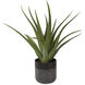 Tucson Textured Matte and Gloss Glazes Aloe Planter