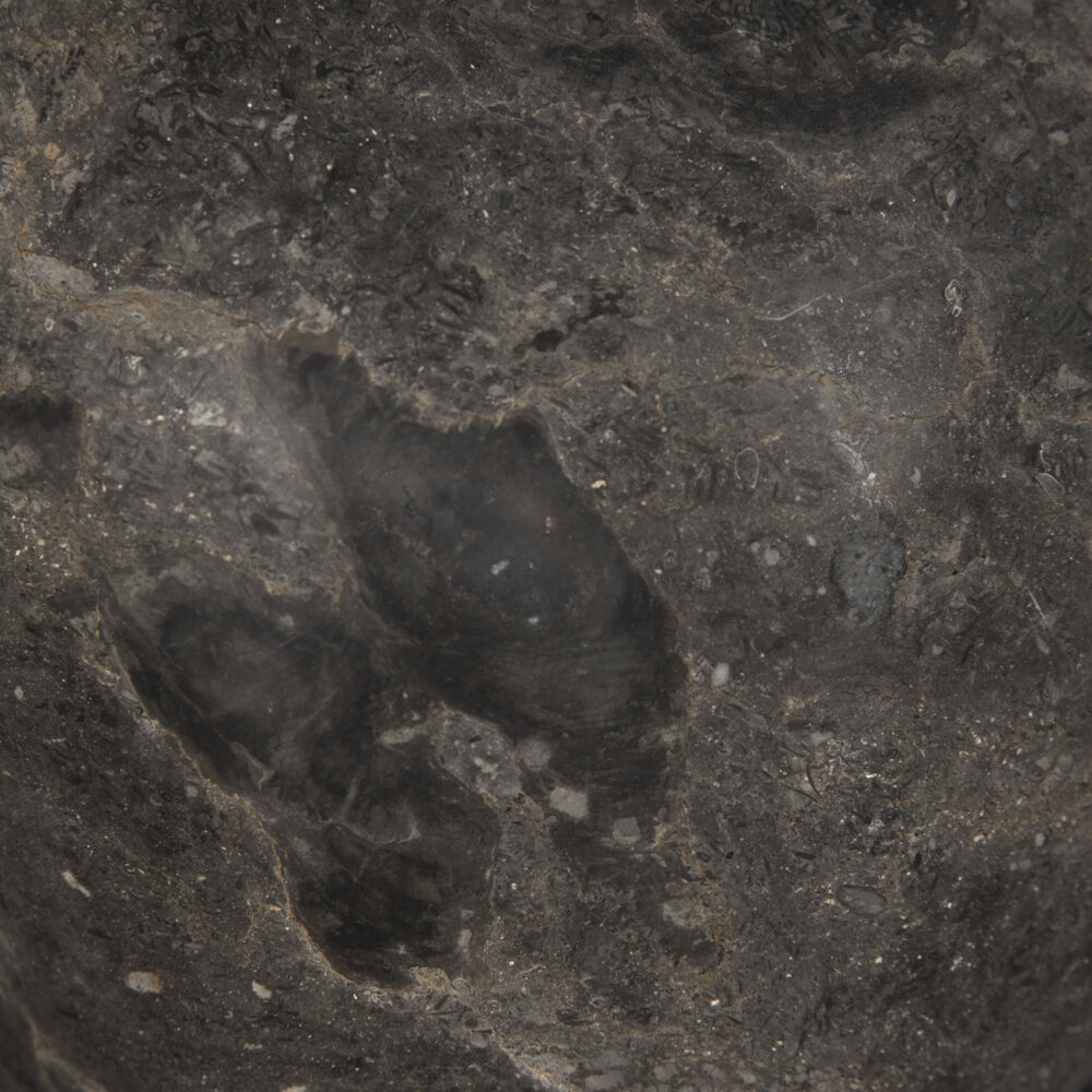 Neo Black Marble Statue