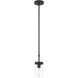 Lily 1 Light 4.75 inch Matte Black Pendant Ceiling Light