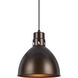 Webster 1 Light 10 inch Rust Pendant Set Ceiling Light, Line Voltage