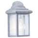 Mullberry Hill 1 Light 8.75 inch Pewter Outdoor Wall Lantern