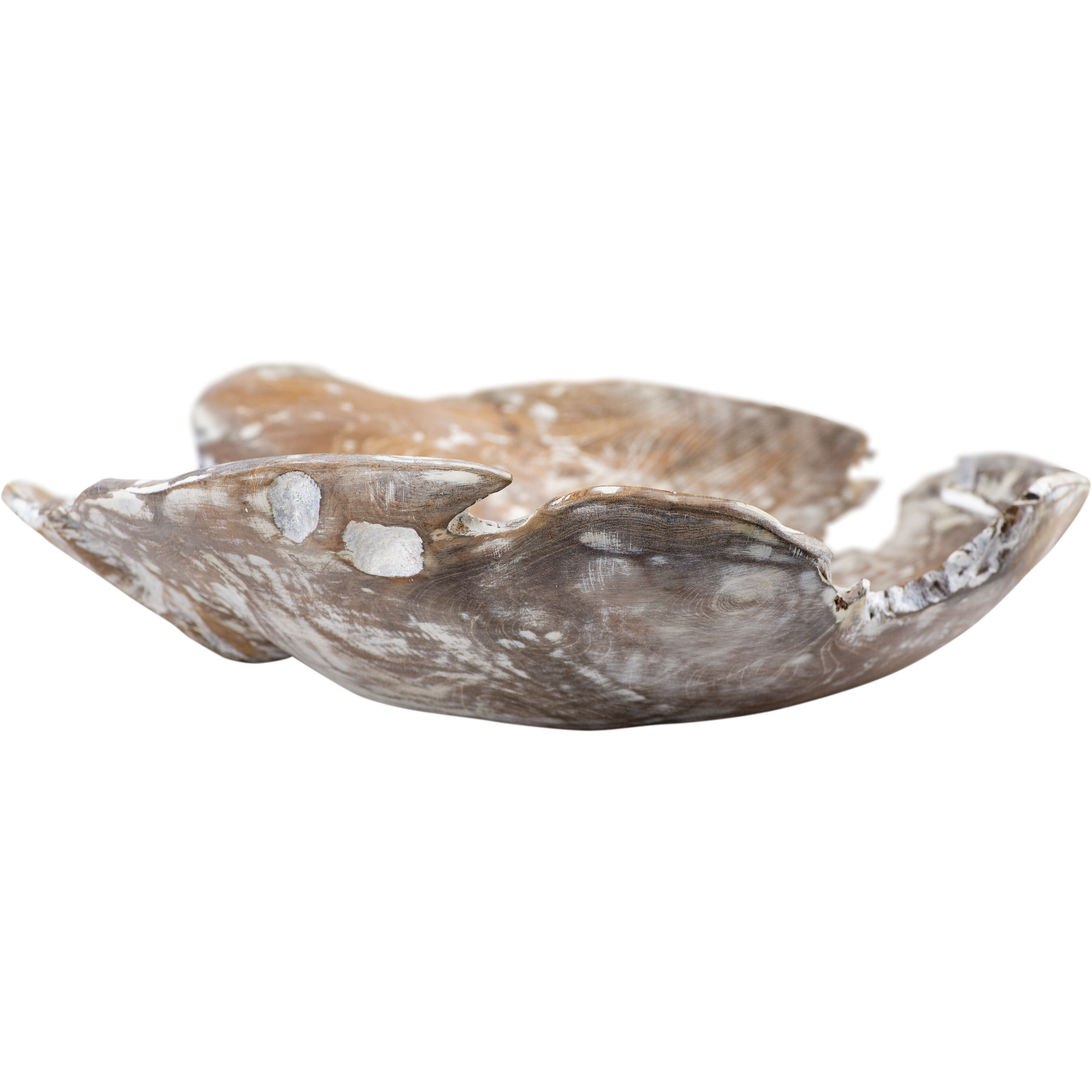 Charbin 15.5 X 4.5 inch Bowl