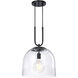 Astra LED 14 inch Matte Black Down Pendant Ceiling Light