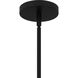 Wisp 1 Light 14.5 inch Matte Black Pendant Ceiling Light