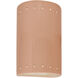 Ambiance Collection LED 9.5 inch Gloss Blush Outdoor Wall Sconce