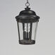 Dover DC 3 Light 12 inch Bronze Outdoor Hanging Lantern