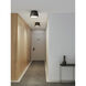 Taiko 2 Light 11.81 inch Matte Black Interior Ceiling Light
